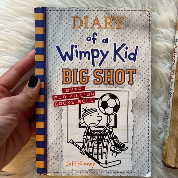 Diary of a Wimpy Kid books - Picture 2 of 5